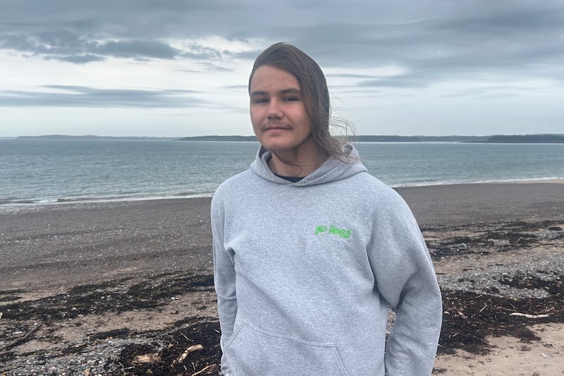 ‘I felt like I did the right thing’: N.B. teenager saves shark washed ashore