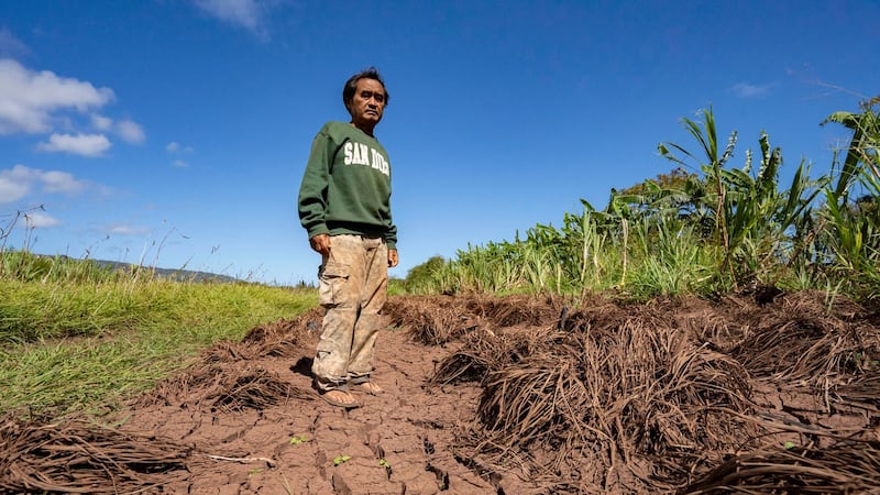 Hawaii’s worst flooding in 20 years leaves farmers struggling and fewer veggies at the market