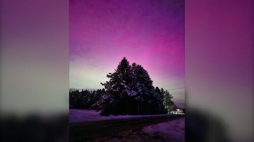 The Northern Lights are pictured in Northport, N.S., on Jan. 19, 2026. (Courtesy: Emily-Anne Lawless)