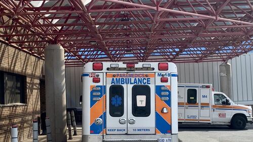 N.L. spent $32.1 million in 2.5 years on private virtual health-care services