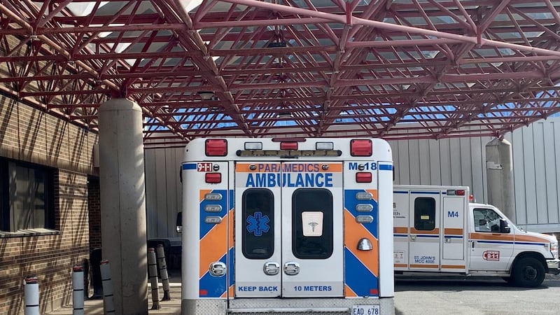 N.L. spent $32.1 million in 2.5 years on private virtual health-care services