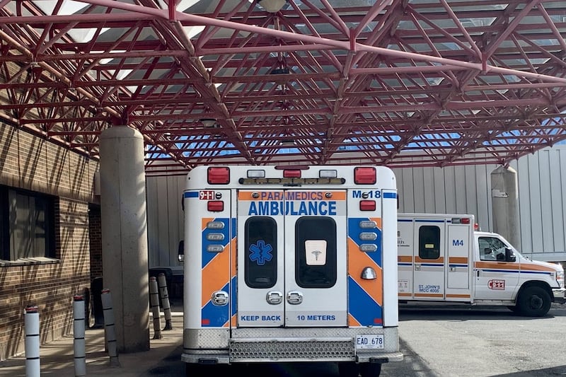 N.L. spent $32.1 million in 2.5 years on private virtual health-care services