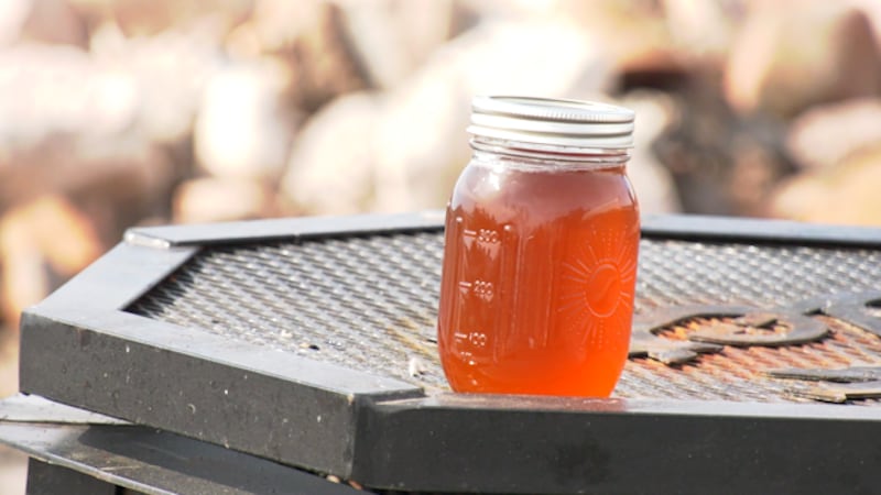 Favourable conditions boost Manitoba maple syrup production this spring