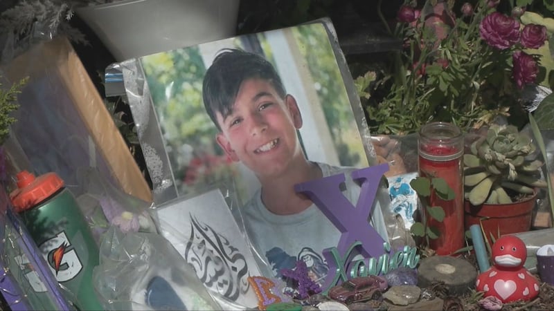Snap election puts Xavier’s Law being passed in jeopardy