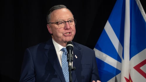 N.L. premier still mum on Quebec energy deal review, but promises details soon
