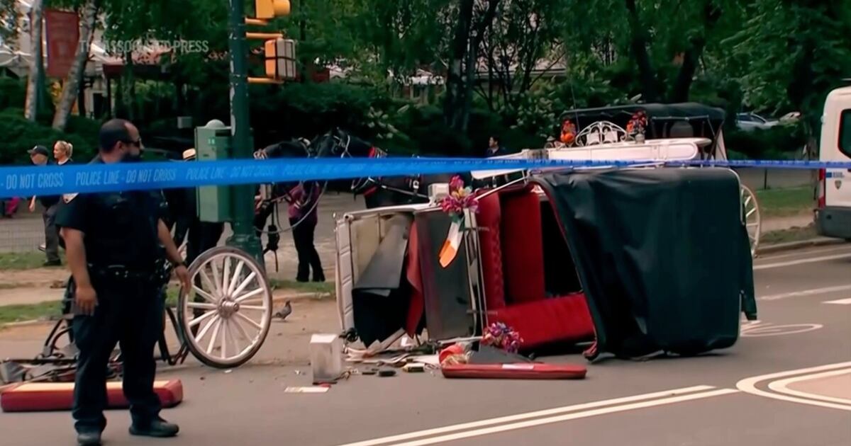 Horse-drawn carriage rides in New York on hold after teen tourist's death