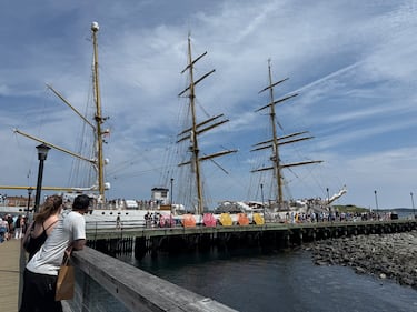 The Gorch Fock is pictured in Halifax on August 2, 2026. (Callum Smith/CTV Atlantic)