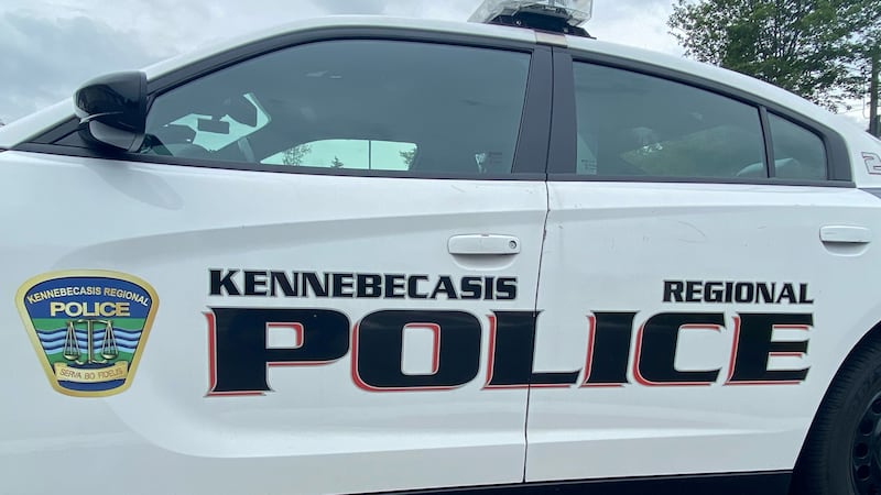 Driver allegedly attempts to strike police officer during traffic stop in Quispamsis, N.B.