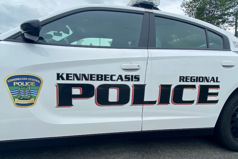 Driver allegedly attempts to strike police officer during traffic stop in Quispamsis, N.B.