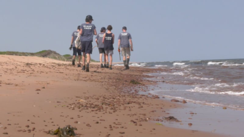 The surprising things washing up on P.E.I.’s beaches