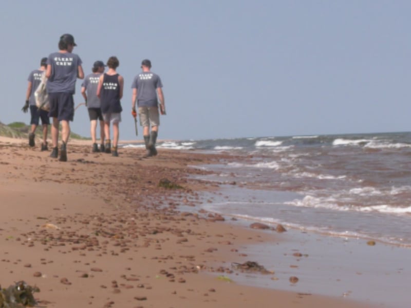 The surprising things washing up on P.E.I.’s beaches