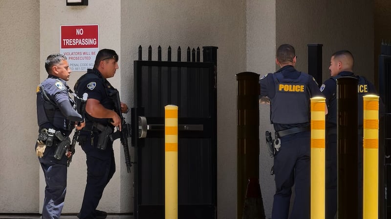 California cop shoots colleague during ‘horseplay’: police chief