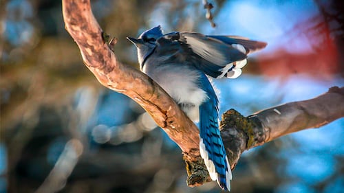 February Viewer Photos