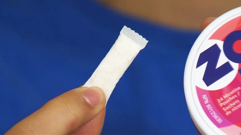 Campaign calls on Sask. to restore nicotine pouches in convenience stores