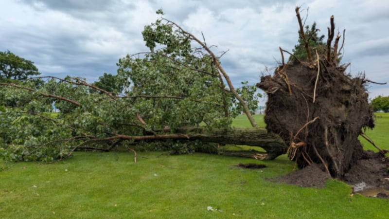 Tornado warning ended in Kingston area