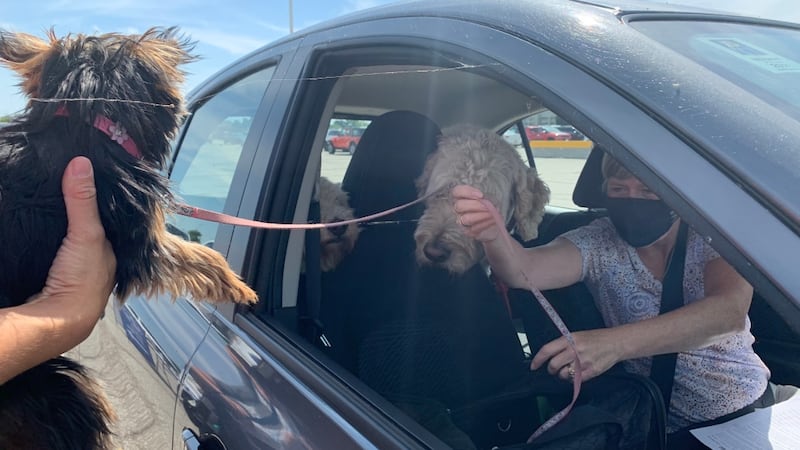 WECHS bringing back drive-thru microchip clinic