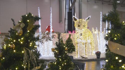 Winter and animal scenes are portrayed by the 2025 Glow indoor light show at Edmonton's Expo Centre in 2025. (Evan Klippenstein / CTV News Edmonton)