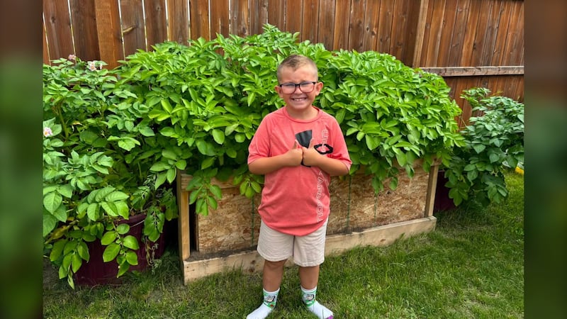 Brandon boy giving back with his growing potato business