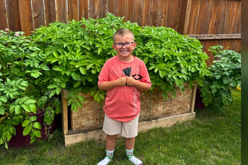 Manitoba boy giving back with his growing potato business