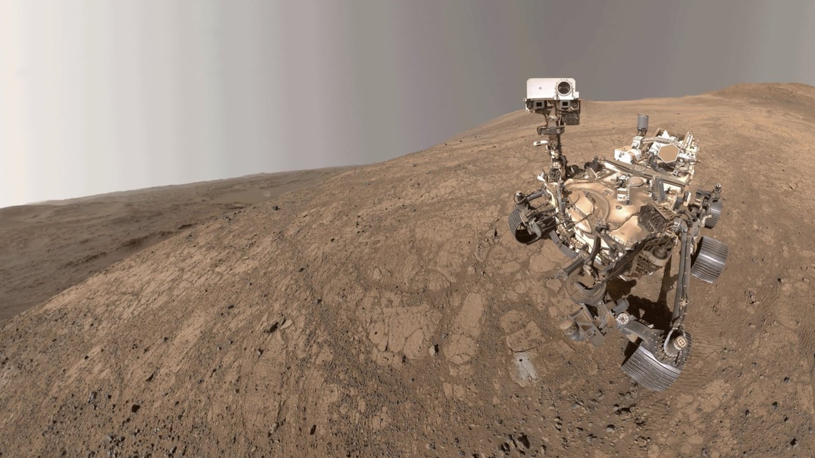 Mars Rover Images Insect NASA's Mars Perseverance snaps a selfie as a Martian dust devil blows by