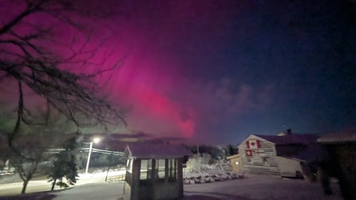 The Northern Lights are pictured in Afton Station, N.S., on Jan. 19, 2026. (Courtesy: Brenda Burger)