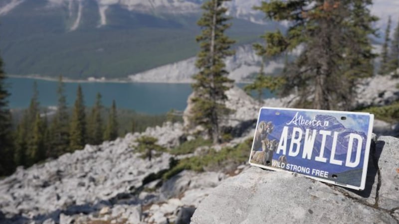 Provincial conservation association to benefit from new licence plate sales 