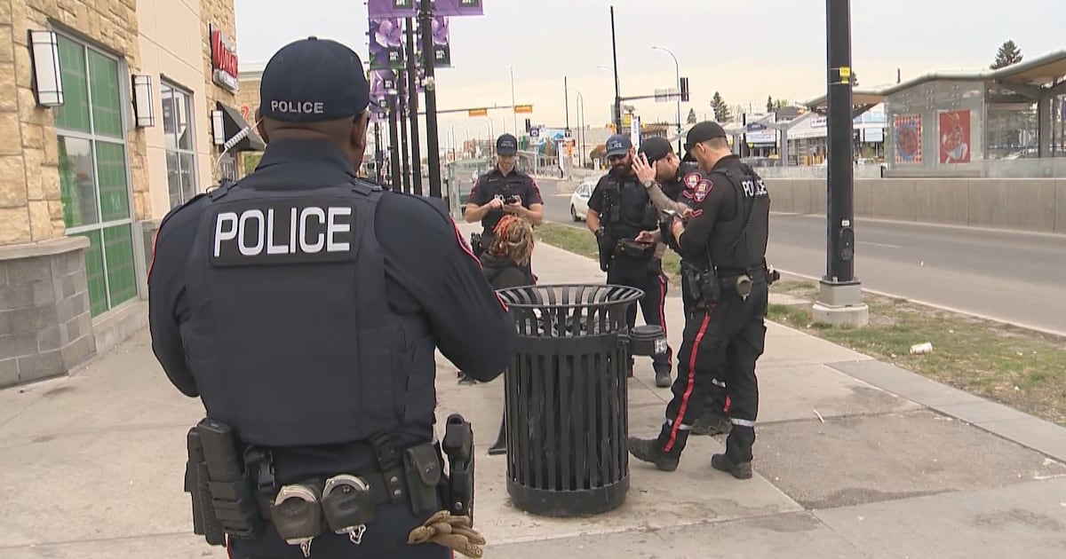 Calgary approves strategy to tackle issues facing community safety