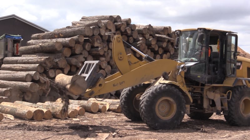 South Bruce sawmill embarks on multimillion dollar modernization amid U.S. tariff uncertainty