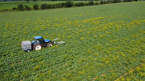 How this giant electrical weed zapper could help cut herbicide use on Canadian farms