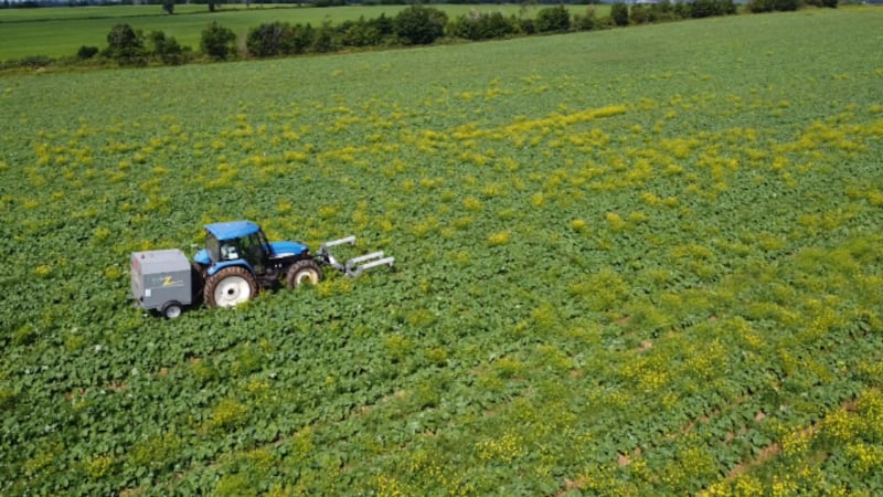 How this giant electrical weed zapper could help cut herbicide use on Canadian farms