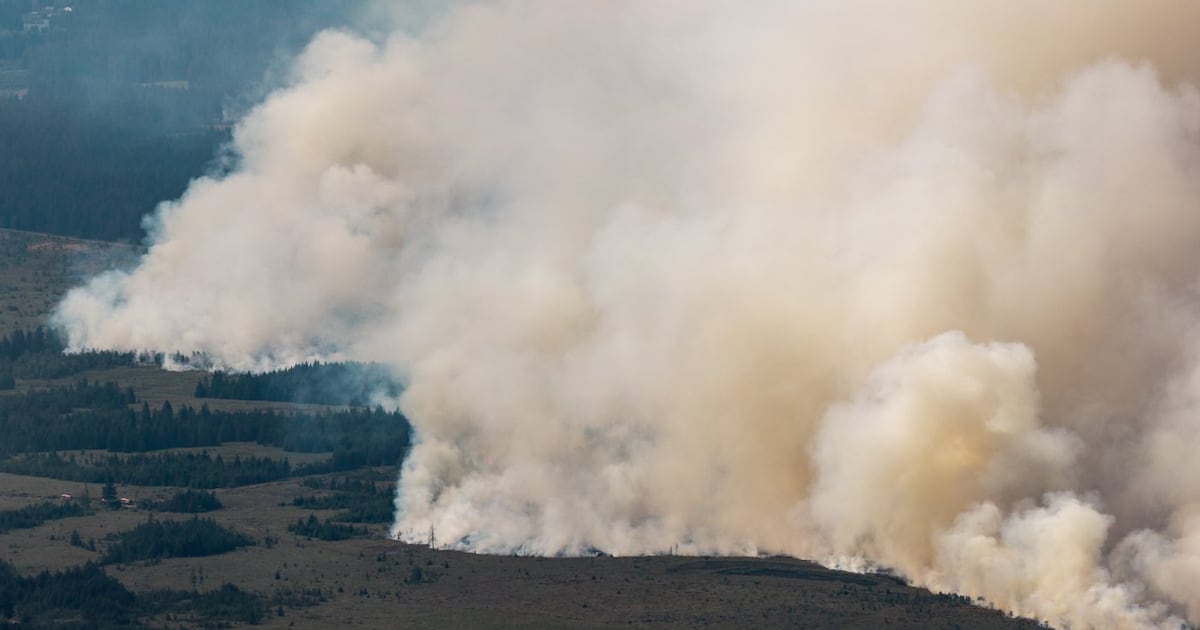 Massive Belgian Wildfire Forces Hundreds to Evacuate