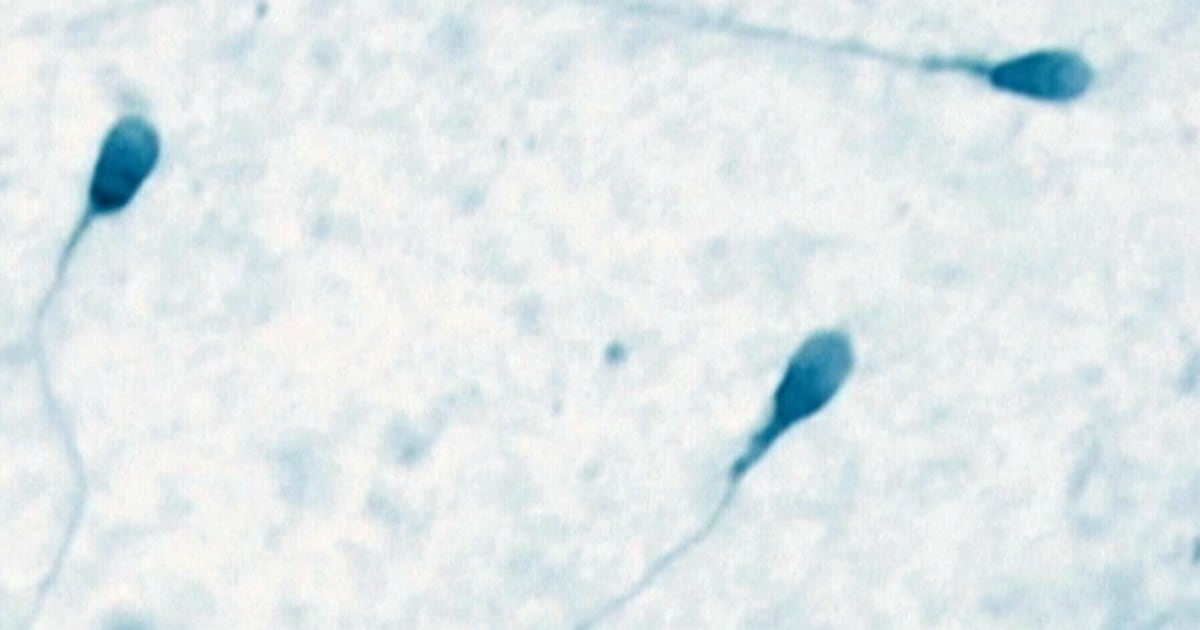 No jail for fertility doctor who lied about using own sperm