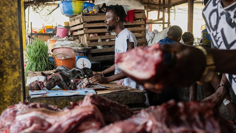As Ebola scourges Congo, experts warn of link to eating wild animals