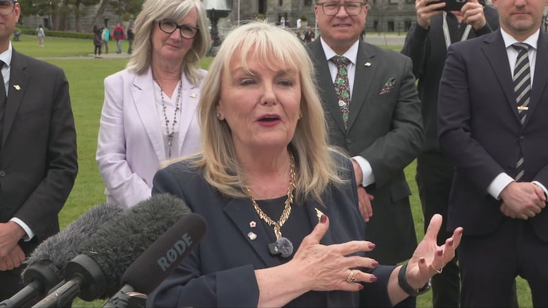 Two new party leaders? Political turmoil continues in B.C.