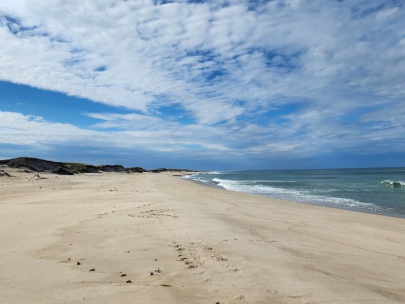 How one lucky artist could spend two weeks on Nova Scotia’s Sable Island
