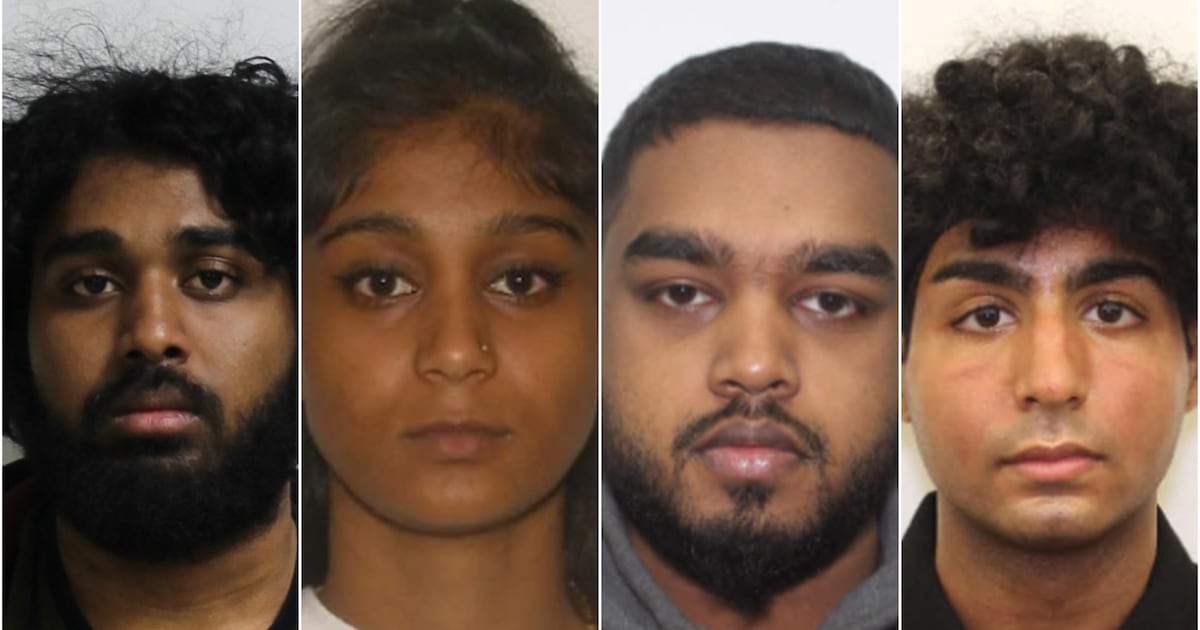 Police seize 23 guns following probe into trafficking network, majority linked to shootings in GTA - CTV News