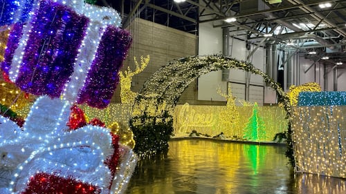 Winter and animal scenes are portrayed by the 2025 Glow indoor light show at Edmonton's Expo Centre in 2025. (Evan Klippenstein / CTV News Edmonton)