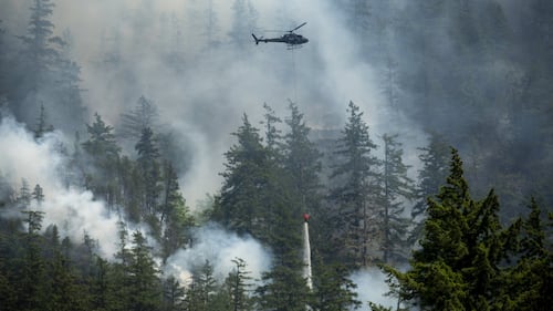 West Kelowna’s ‘deep understanding’ of fire gets credit in B.C.’s first test of year