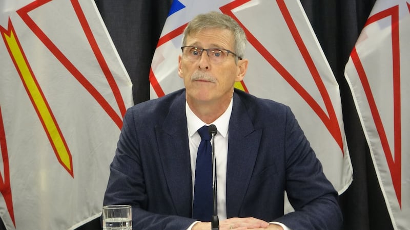 Newfoundland and Labrador's new Tory government will table a budget April 29