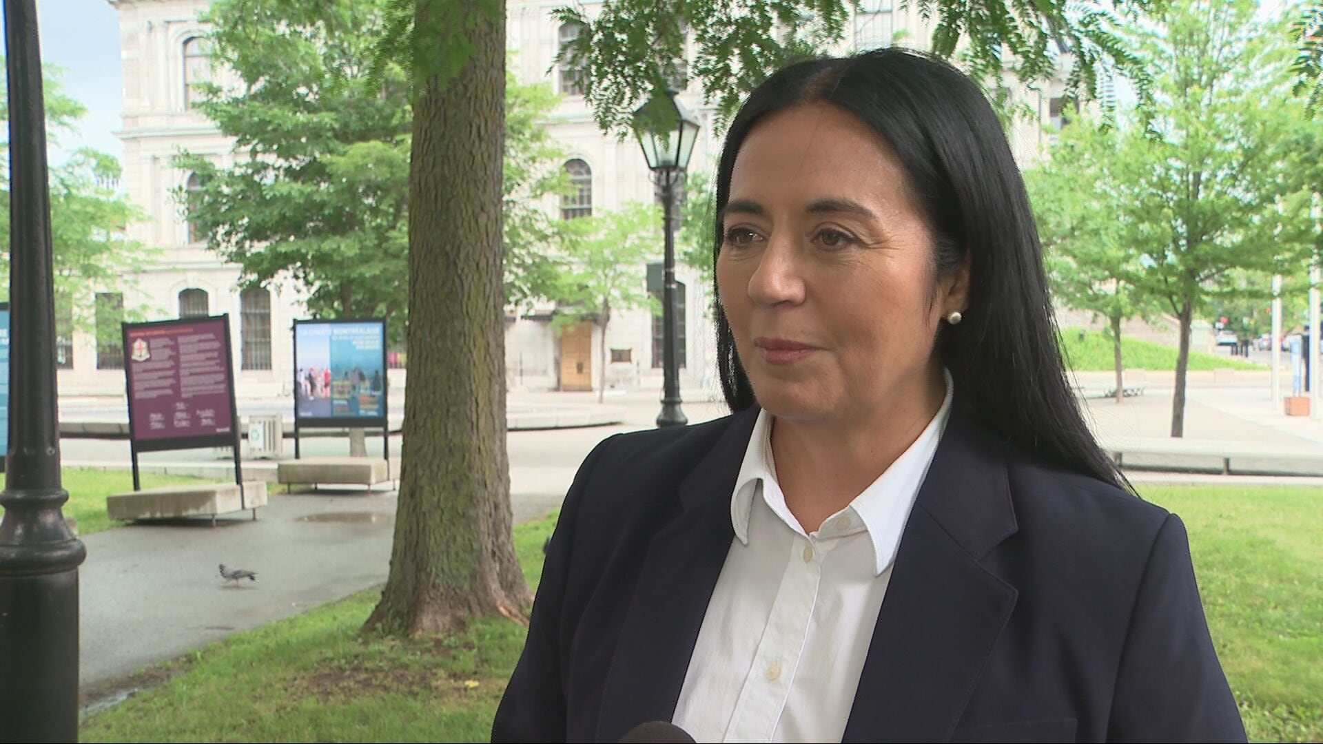 Montreal mayor calls for moratorium on random police checks after racism al