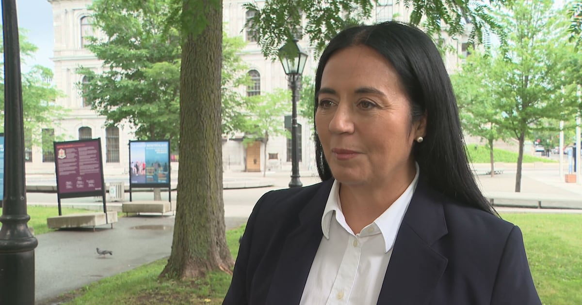 Montreal mayor calls for moratorium on random police checks after racism allegations