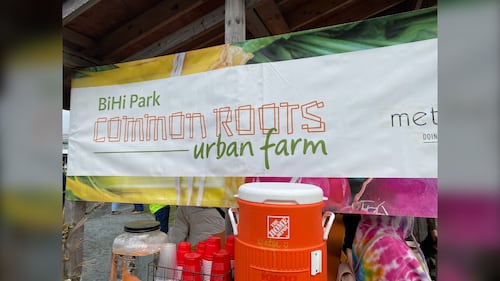 A sign for Common Roots Urban Farm in Halifax, N.S., is pictured. (Vanessa Wright / CTV Atlantic)