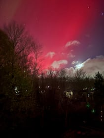 The northern lights are seen in Lower Sackville, N.S., on Nov. 11, 2025. (Submitted: Mark Newell)