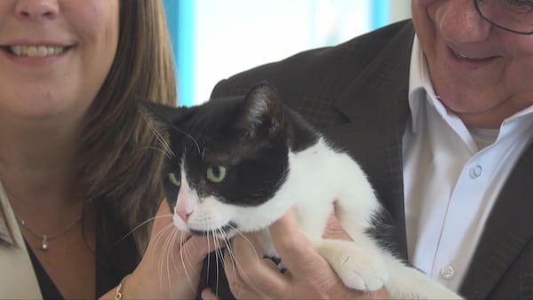 Montreal inaugurates new one-stop animal shelter