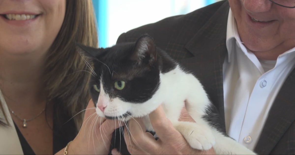 Montreal inaugurates new one-stop animal shelter