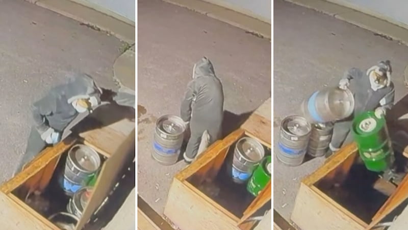 Almonte, Ont., pub seeking ‘furry thief’ who made off with kegs