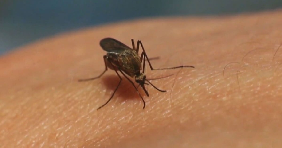 Health unit confirms eastern Ontario's first human case of West Nile virus this year