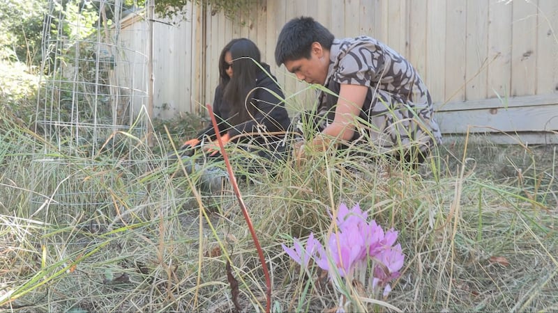 ‘This is reconciliation in action’: Indigenous youth wrap up Oak Bay restoration program