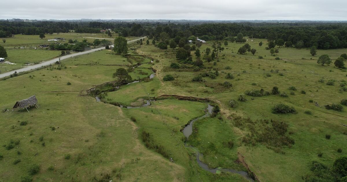 Humar Intry Monte Verde as human entry into Americas challenged in study