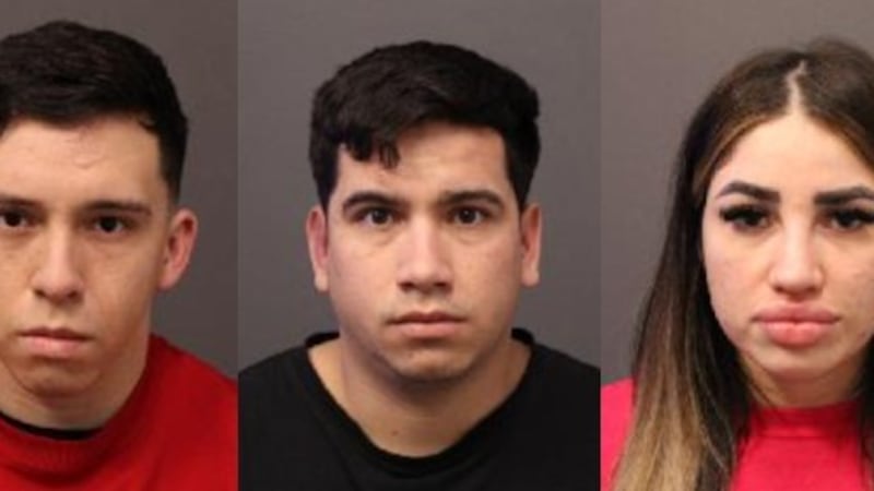 ‘Organized crime-tourism group’ behind GTA break-ins: police